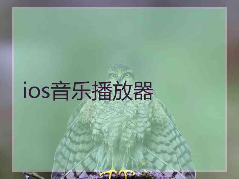 ios音乐播放器