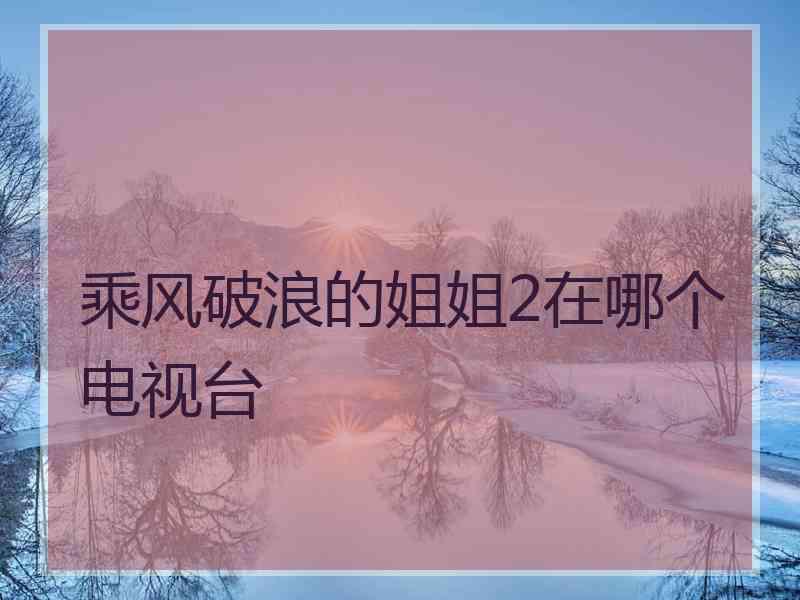 乘风破浪的姐姐2在哪个电视台