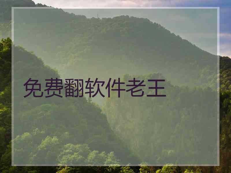 免费翻软件老王