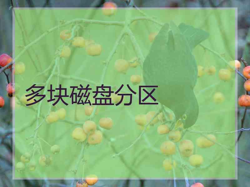 多块磁盘分区