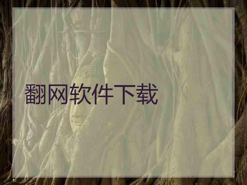 翻网软件下载