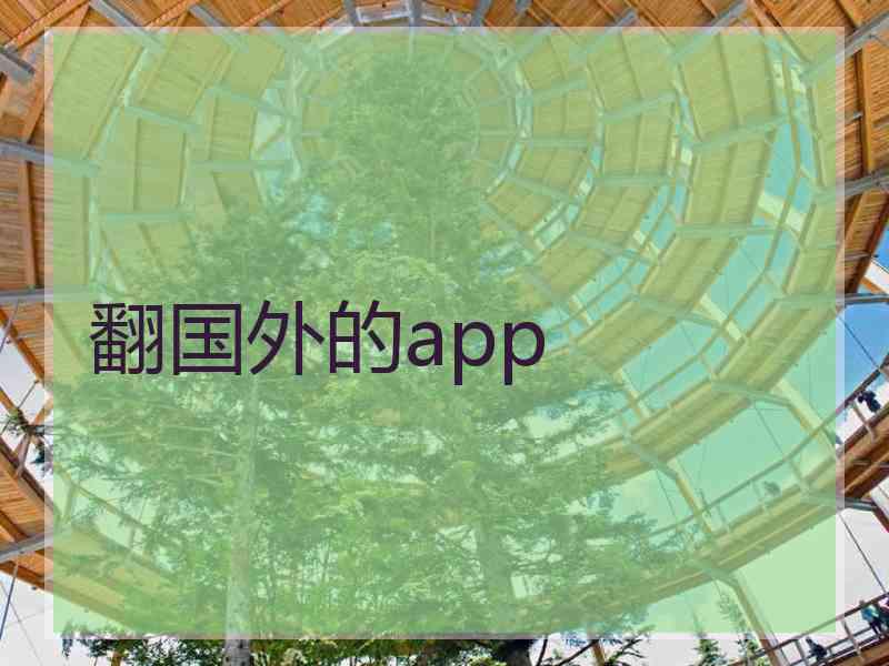 翻国外的app