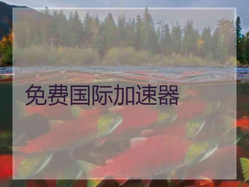 免费国际加速器