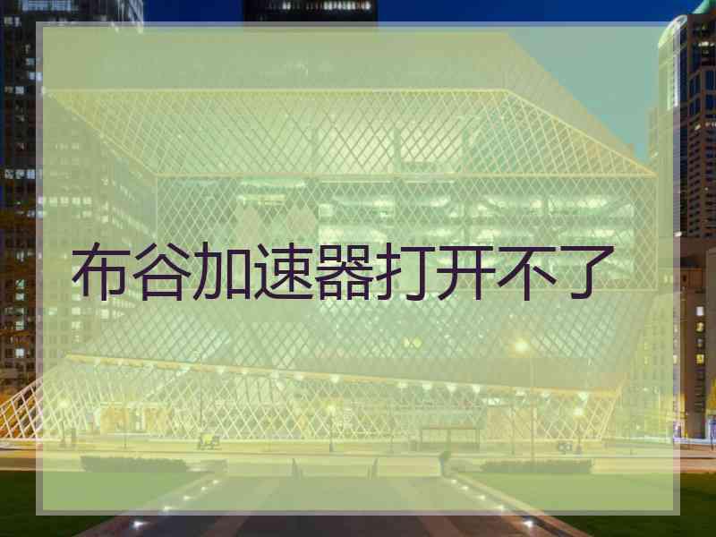布谷加速器打开不了