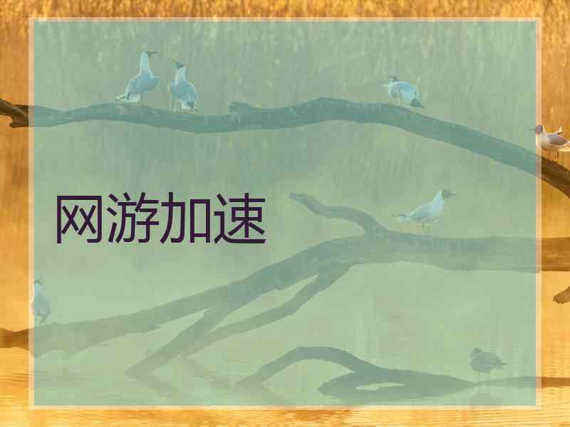 网游加速