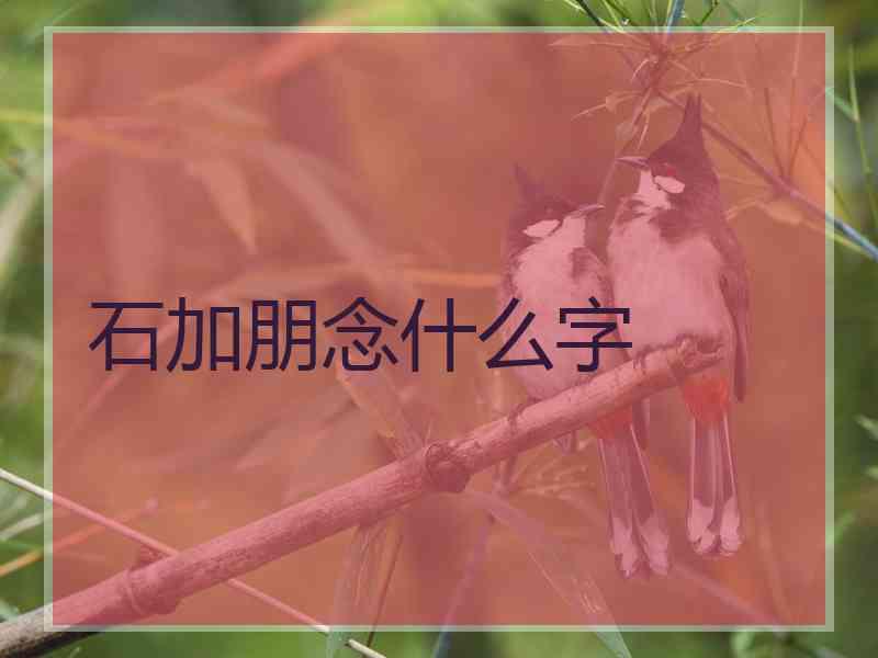 石加朋念什么字