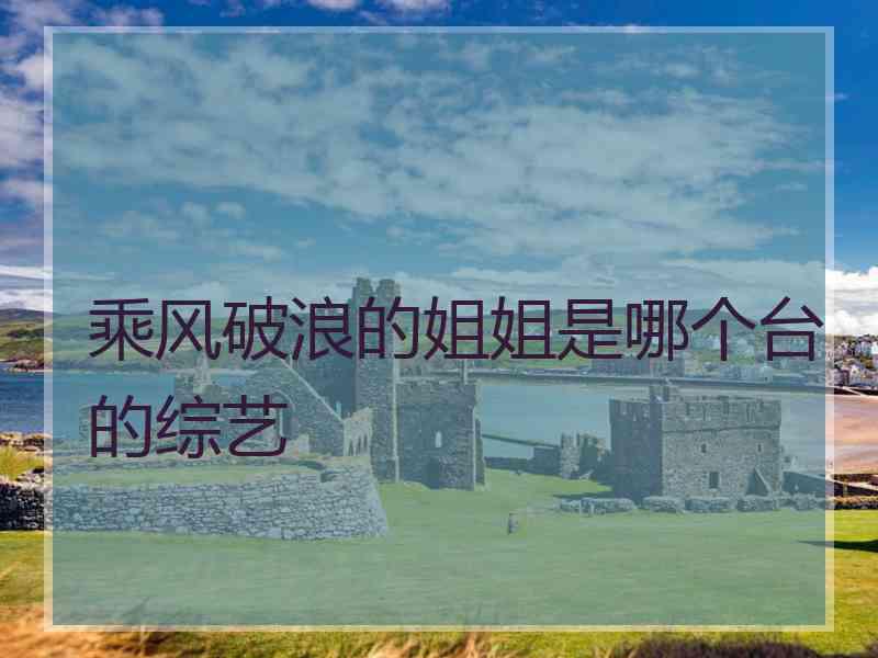 乘风破浪的姐姐是哪个台的综艺