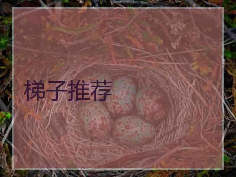 梯子推荐