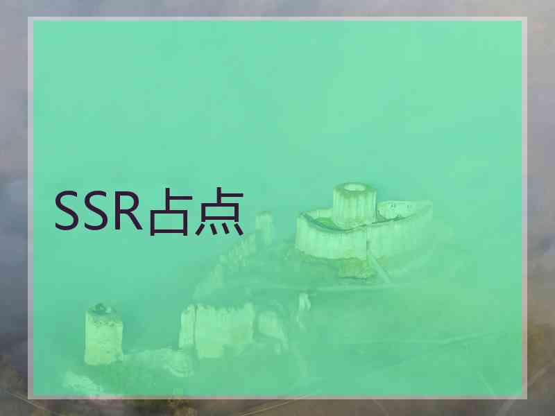 SSR占点