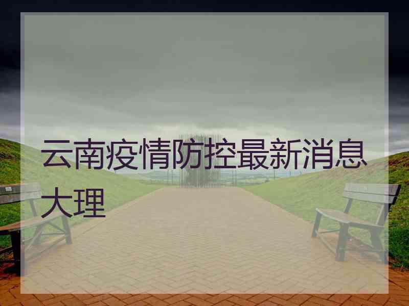 云南疫情防控最新消息大理