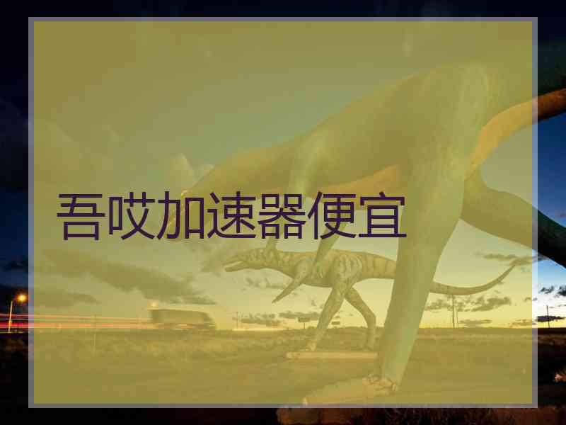 吾哎加速器便宜