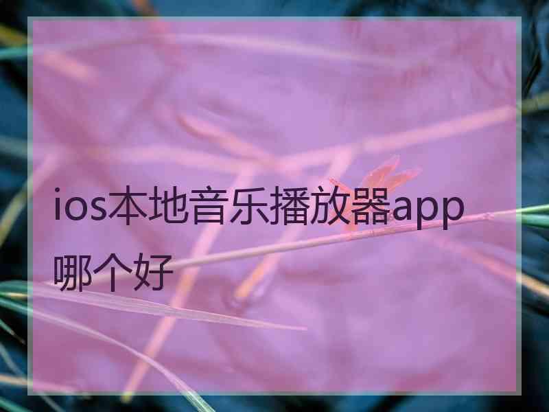 ios本地音乐播放器app哪个好