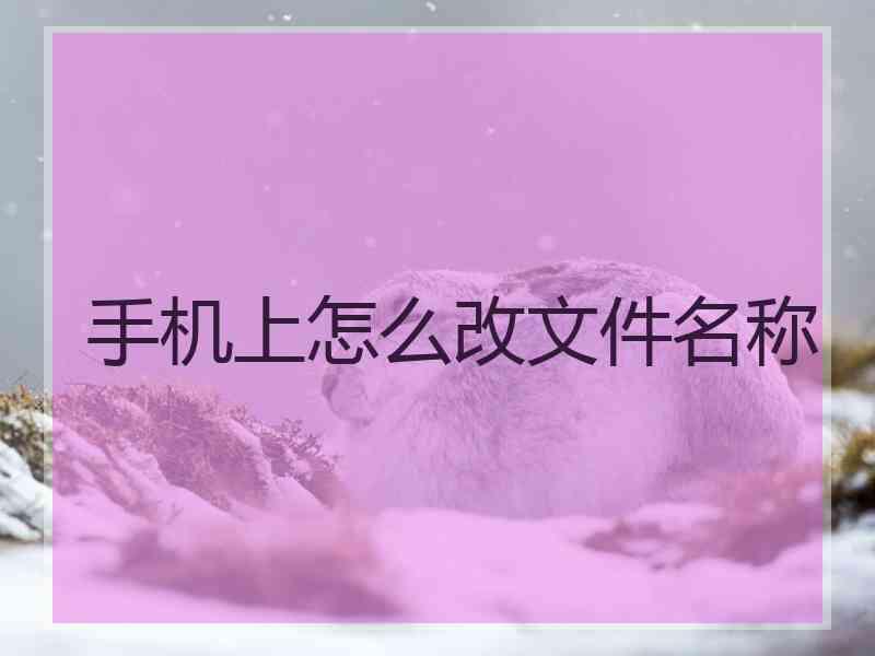 手机上怎么改文件名称