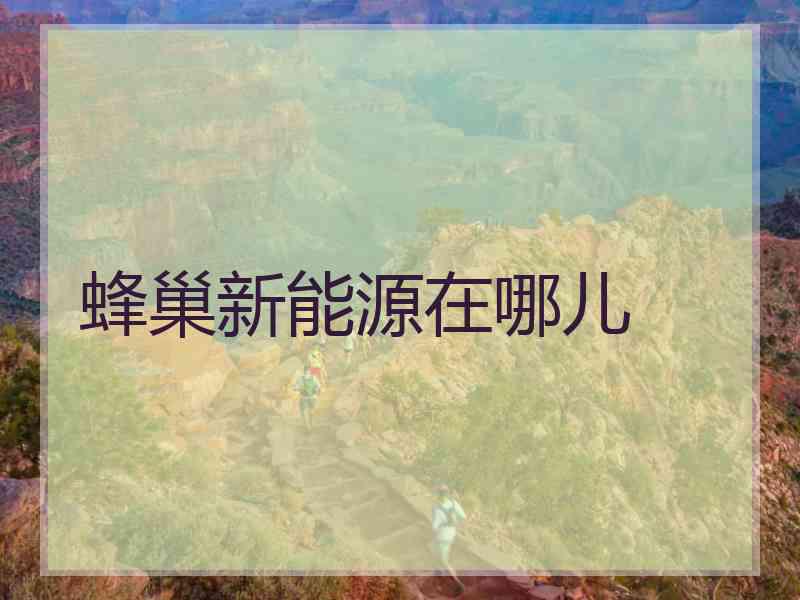 蜂巢新能源在哪儿