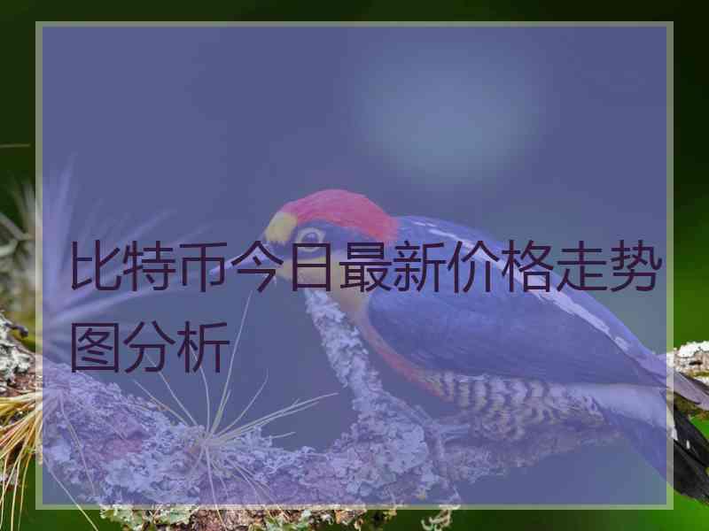 比特币今日最新价格走势图分析