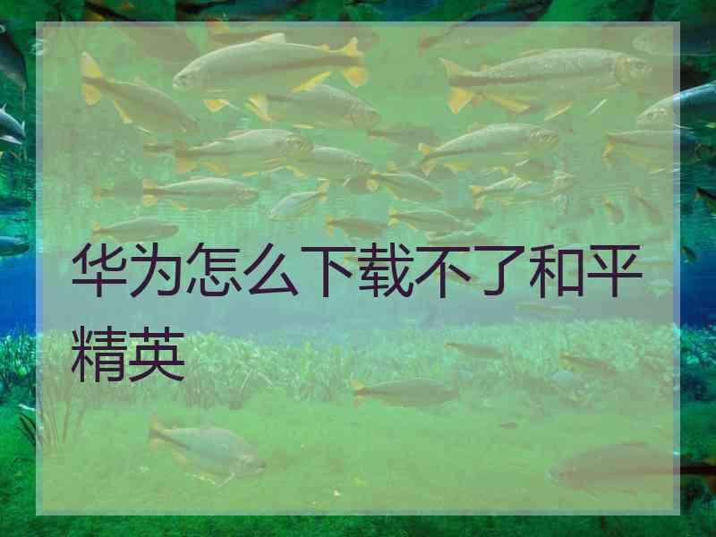 华为怎么下载不了和平精英
