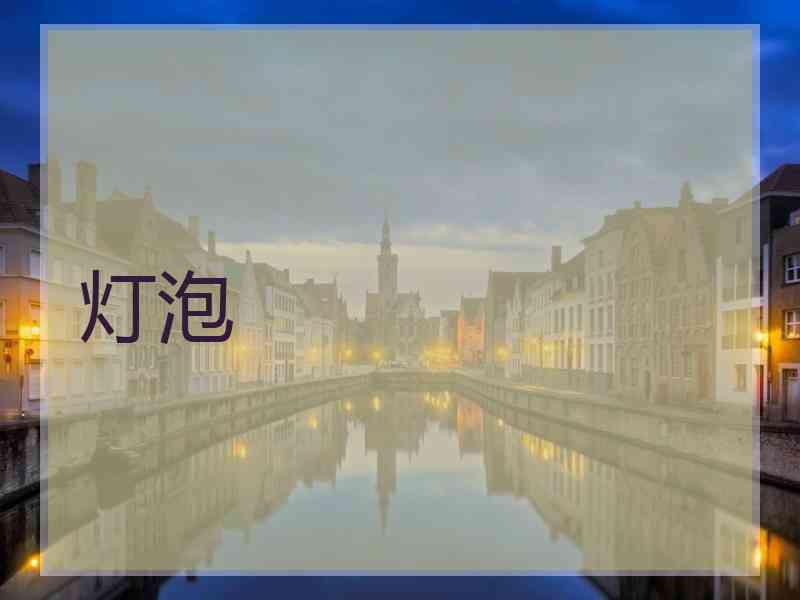 灯泡