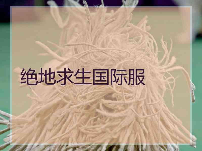 绝地求生国际服
