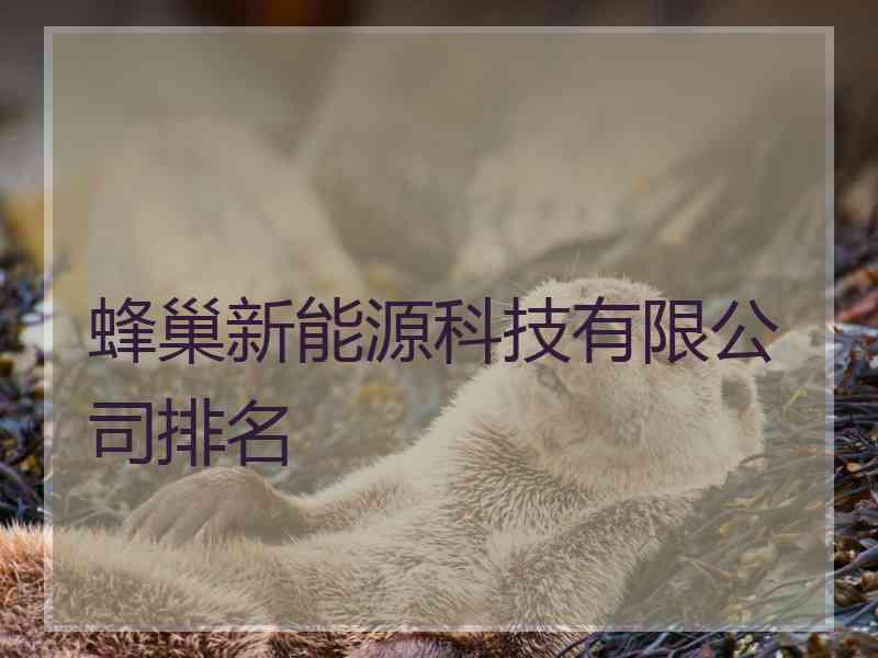 蜂巢新能源科技有限公司排名
