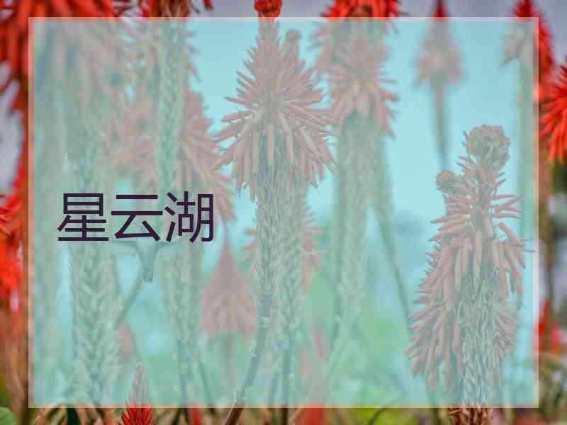 星云湖