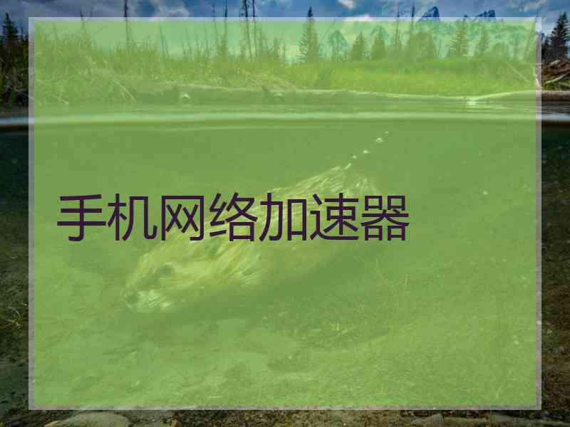 手机网络加速器