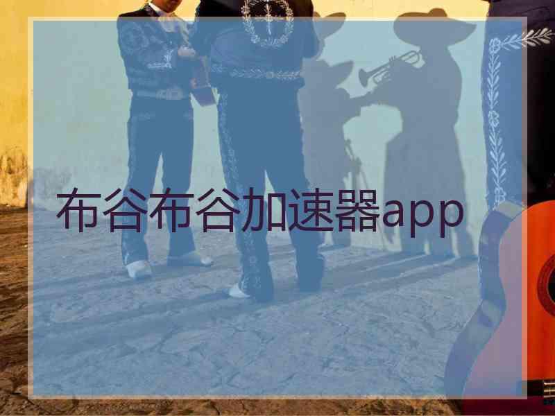 布谷布谷加速器app
