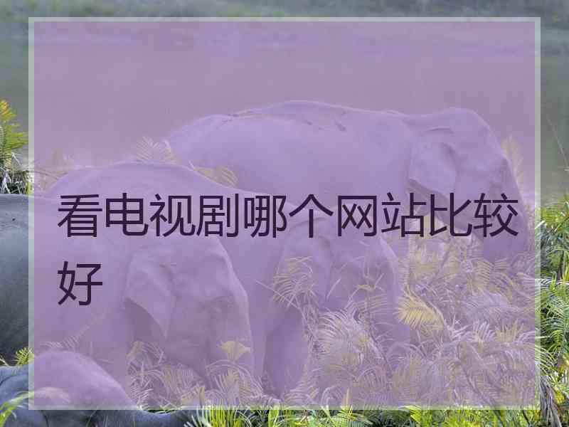 看电视剧哪个网站比较好