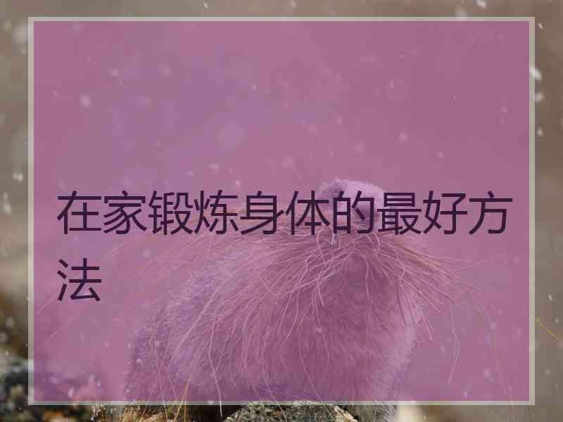 在家锻炼身体的最好方法