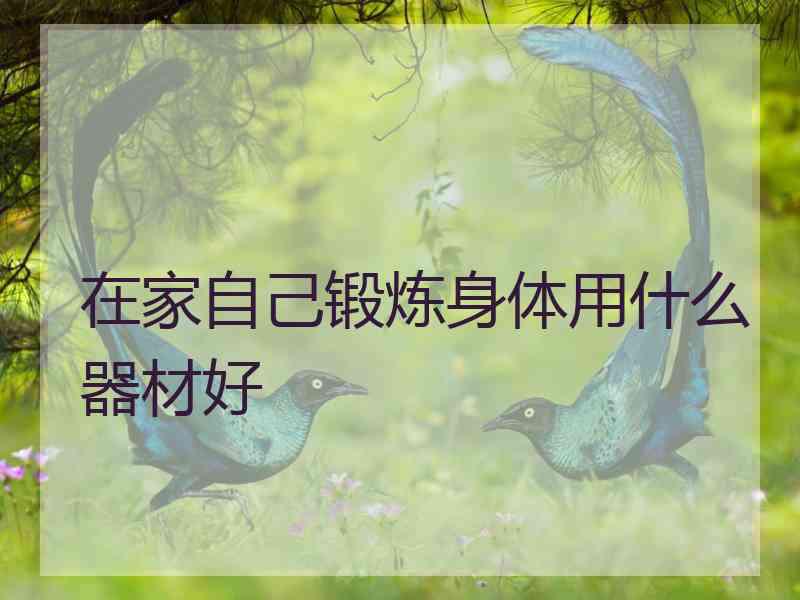 在家自己锻炼身体用什么器材好