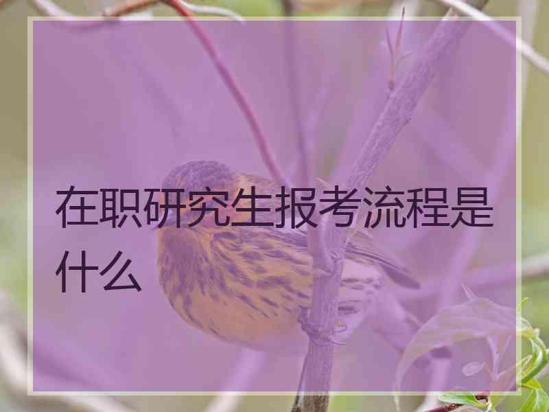 在职研究生报考流程是什么