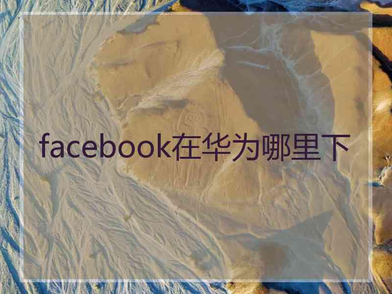 facebook在华为哪里下