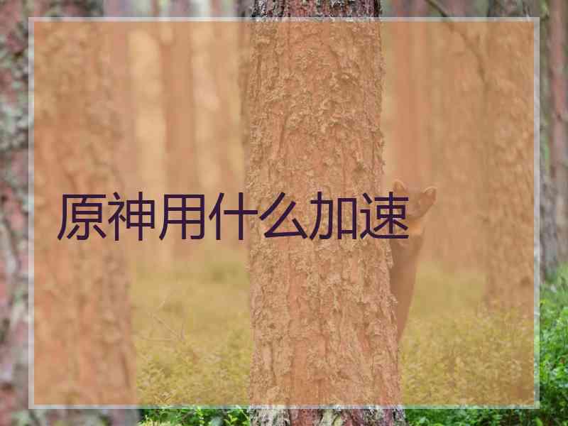 原神用什么加速