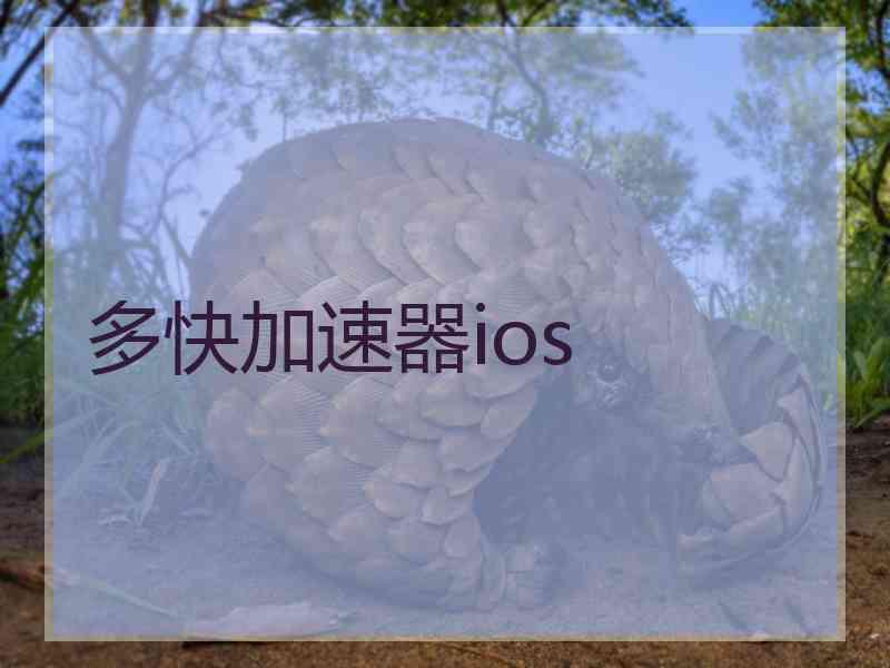 多快加速器ios