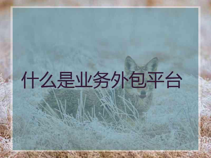 什么是业务外包平台