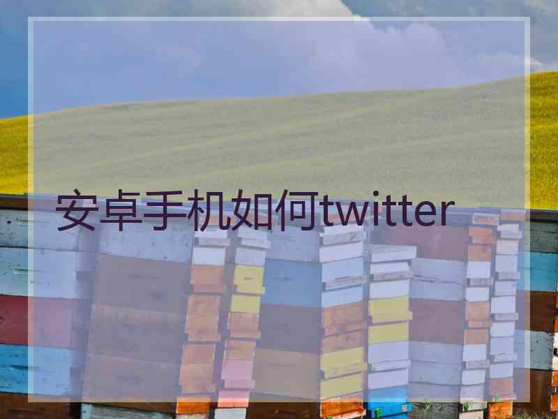 安卓手机如何twitter