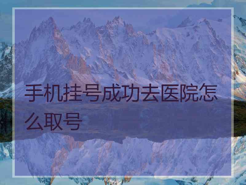 手机挂号成功去医院怎么取号