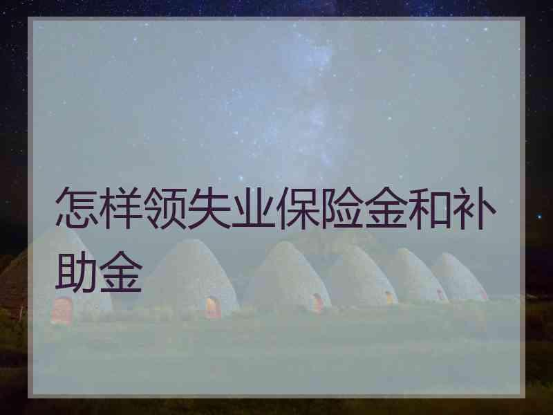 怎样领失业保险金和补助金