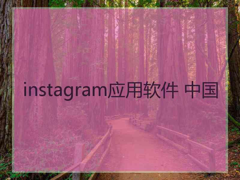 instagram应用软件 中国