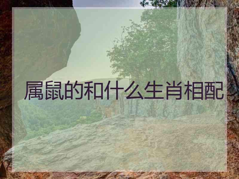 属鼠的和什么生肖相配