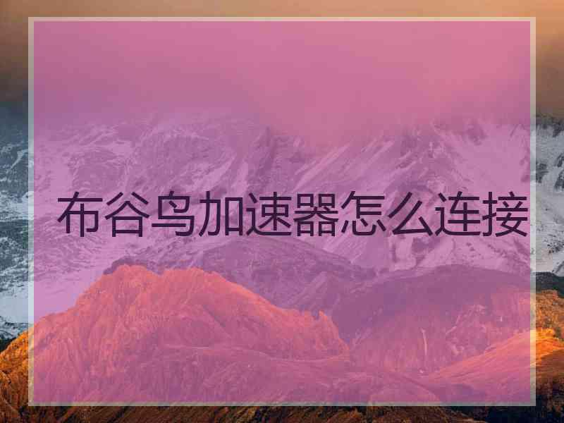 布谷鸟加速器怎么连接