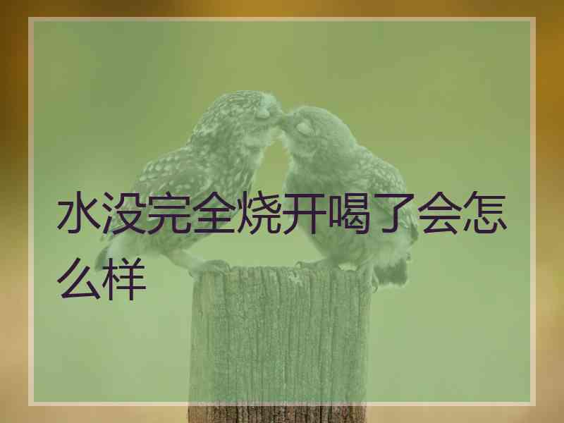 水没完全烧开喝了会怎么样