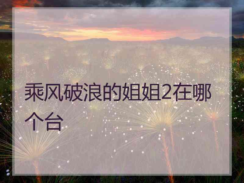 乘风破浪的姐姐2在哪个台