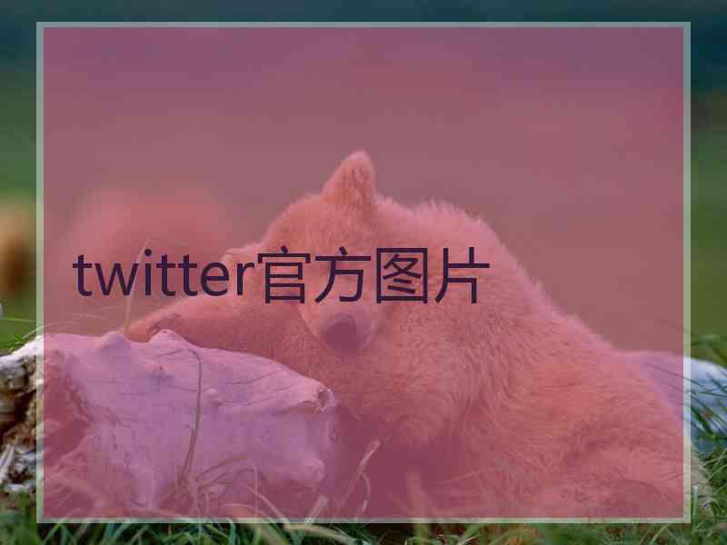 twitter官方图片