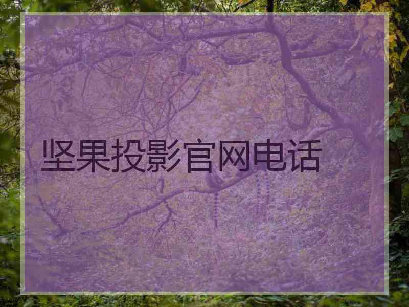 坚果投影官网电话
