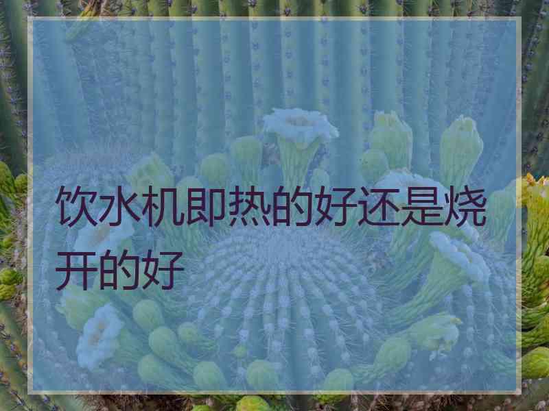 饮水机即热的好还是烧开的好