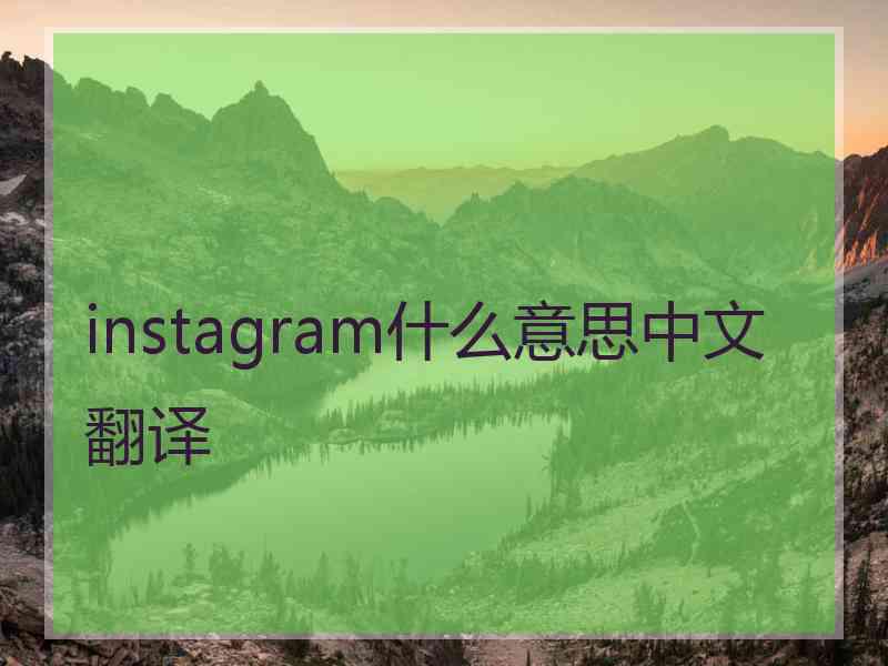 instagram什么意思中文翻译