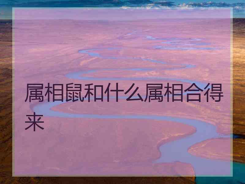 属相鼠和什么属相合得来