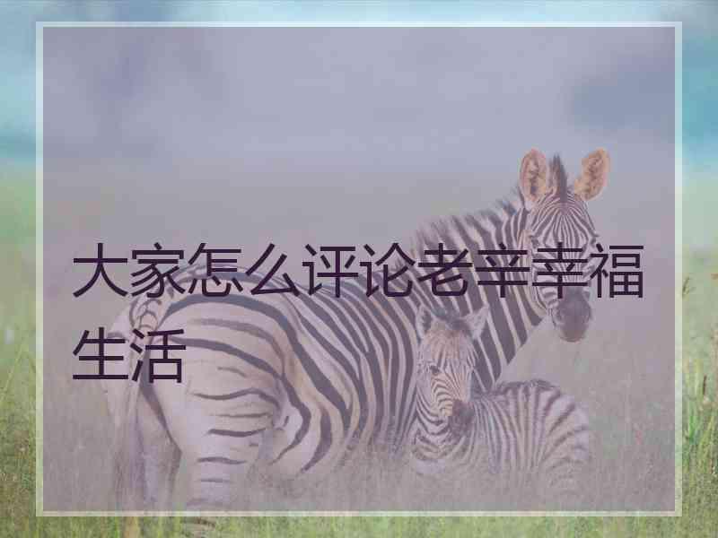 大家怎么评论老辛幸福生活